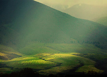 在线电话轰炸网页版